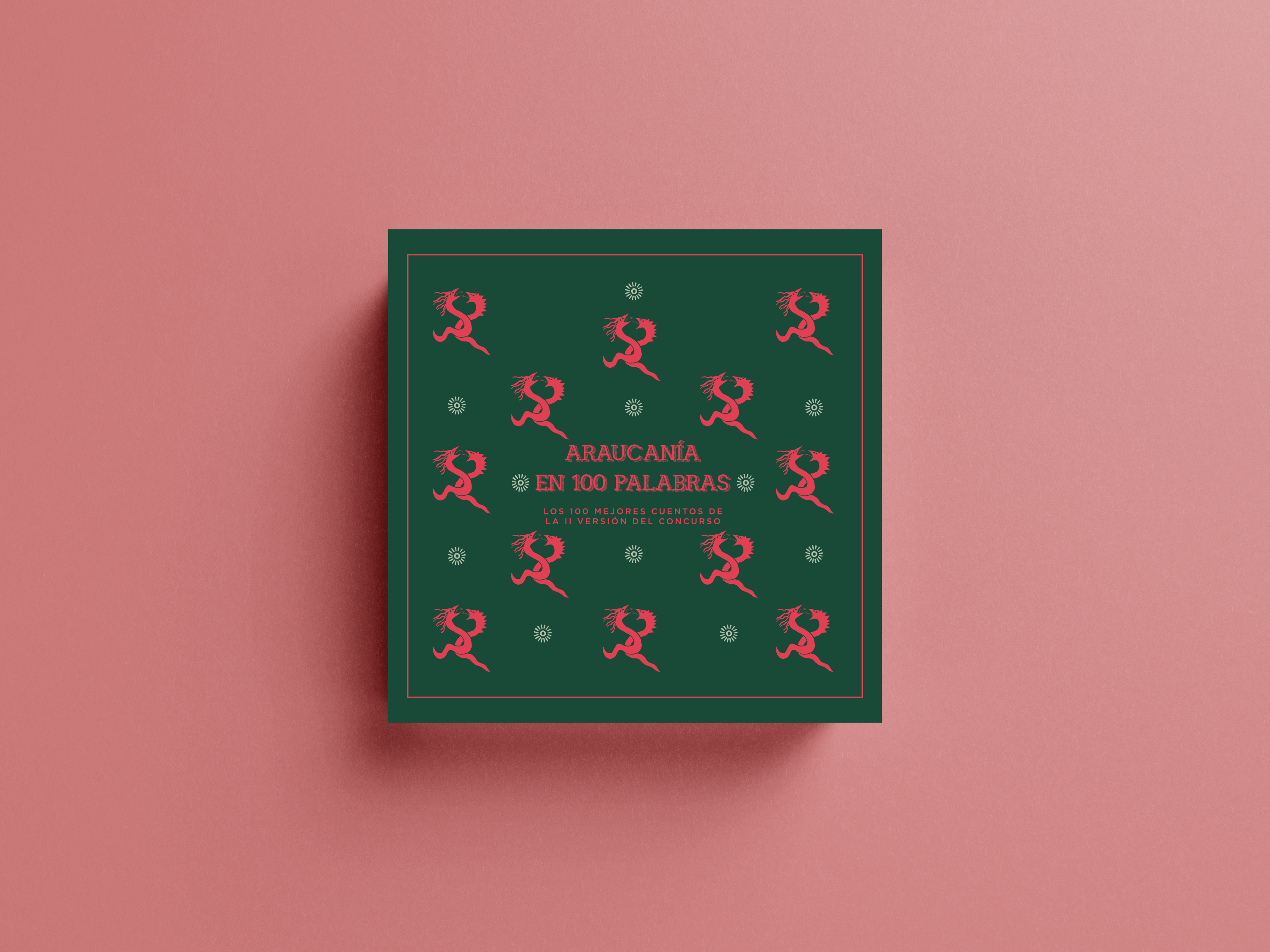 Los mejores 100 cuentos de Araucanía en 100 palabras II